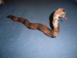 Water Eye Leg Human body Wood